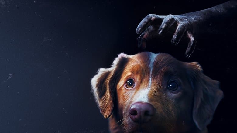 GOOD BOY／グッド・ボーイ